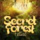 Secret Forest Festival 2017