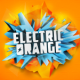 Electric Orange 2015 logo