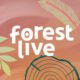 Forest Live 2025