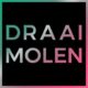 Draaimolen Festival 2026 logo