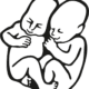 Pohoda Festival 2025 logo