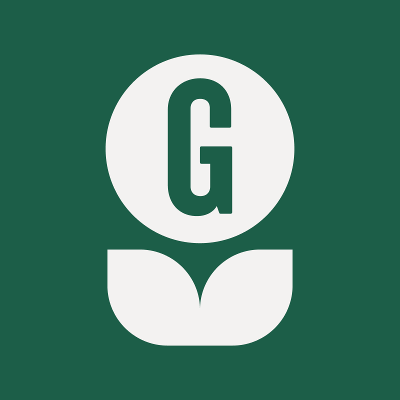 Gladiolen