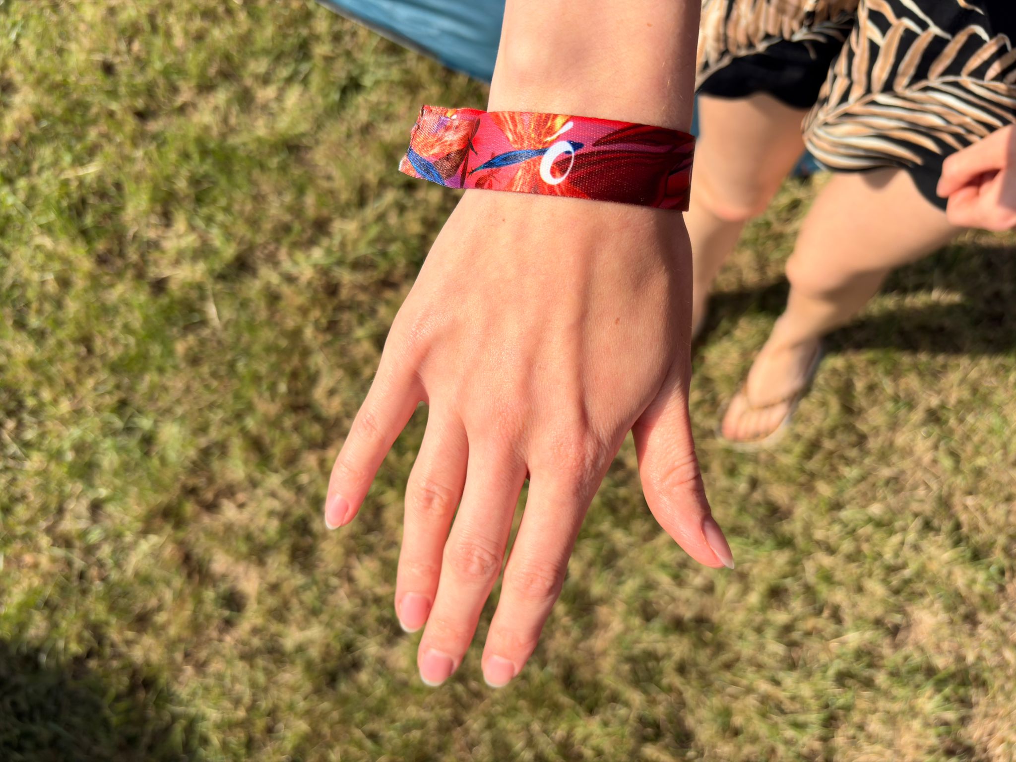 Check de festivalpagina
